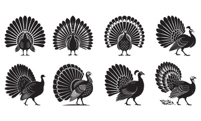 Collection of elegant stylized peacocks with fanned tails, classic artistic illustrations vector.
