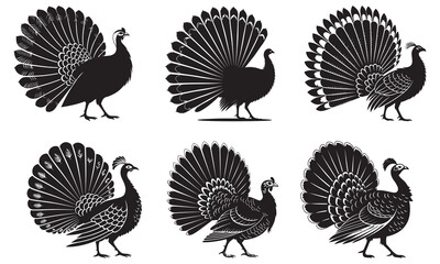 Stylized black peacock and peafowl silhouettes with fanned tails, elegant design
