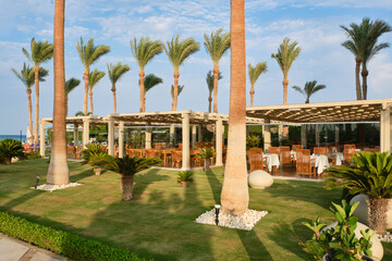 Tropical garden with palm trees and palms and bar