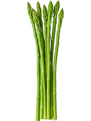 Fototapeta premium Fresh asparagus tied in bundle isolated on transparent background, perfect for healthy eating and vegetarian food visuals.