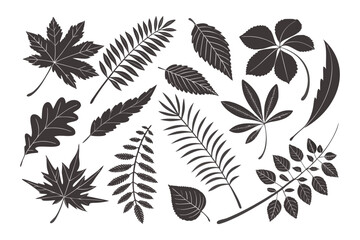Naklejka premium Set of Leaf Silhouettes