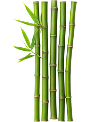 Fototapeta premium Set of bamboo stems with green leaves isolated on transparent background, ideal for ecological and spa design visuals.