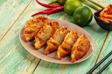 Asian fried stuffed dumplings gyoza