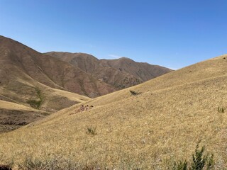 Fototapeta premium Breathtaking panoramic view of Konorchek Canyon in Kyrgyzstan