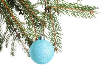 Fir tree branches with Christmas ball on white background