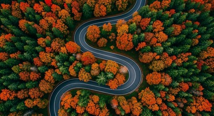 Aerial view of a winding road through autumn forest