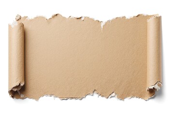 Torn brown cardboard isolated on pure white background