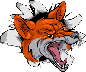 Fierce fox bursting through wall, dynamic mascot illustration, aggressive animal, powerful sports emblem