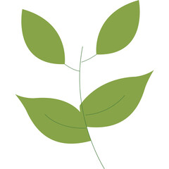 Simple Green Leaf Plant Stem with Transparent Background and Dashed Lines Representing Growth and Nature