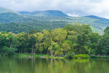 Fototapeta premium a public place leisure travel landscape lake views at Ang Kaew Chiang Mai University and Doi Suthep nature forest Mountain views spring cloudy sky background with white cloud.
