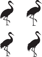 Obraz premium Four black silhouette cranes standing on one leg against white background