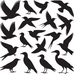 Black Bird Silhouettes in Flight and Standing - Diverse Avian Vector Pack