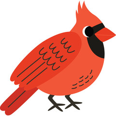 Red Cardinal Bird Illustration With Transparent Background And Black Accents Standing On White