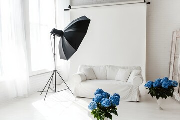 An artistic indoor studio featuring a white couch, soft lighting, and beautiful blue flowers, creating a perfect setting for photo shoots that evoke creativity and inspiration.