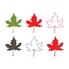 Maple leaf. Isolated maple on white background