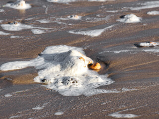 Sea Foam on the Beach at Dorset England
