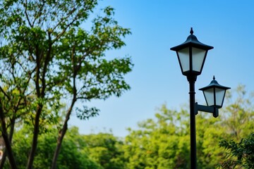 Two vintage-style park lanterns elegantly placed amidst lush greenery, embodying a romantic outdoor ambiance that invites wanderers to explore nature and enjoy serenity.