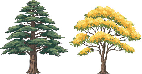 Coniferous pine tree and yellow autumn deciduous tree, seasonal foliage contrast, forest diversity, botanical structure, nature scene, outdoor landscape, plant species, scenic view, tree comparison