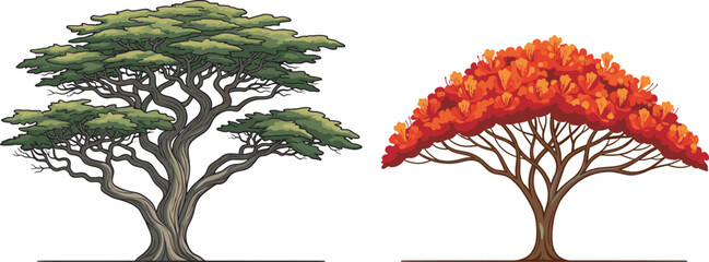 Gnarled green tree and vibrant autumn tree, seasonal foliage contrast, botanical diversity, forest scene, nature landscape, outdoor environment, plant structure, scenic view, colorful leaves, bloom