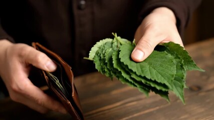Closeup shows hands exchanging green leaves as if they were cash, giving humorous twist to common financial theme.