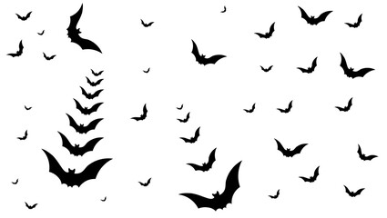 Bats in flight