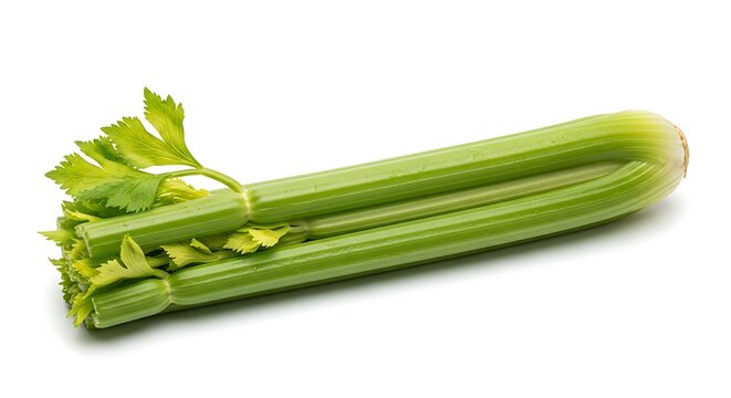 Celery stalk with leaves