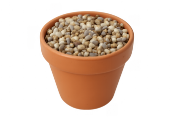 Terracotta plant pot filled with decorative pebbles on transparent background