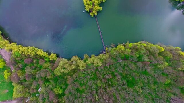 aerial view of the island surrounded by beautiful willows and colorful forest