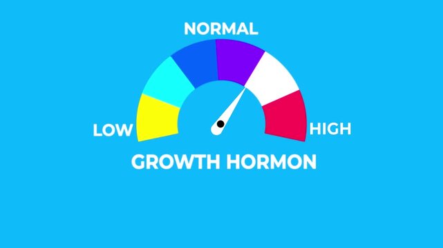 Animated growth hormone level meter decreasing from normal to low level for low growth hormone, hormone imbalance.