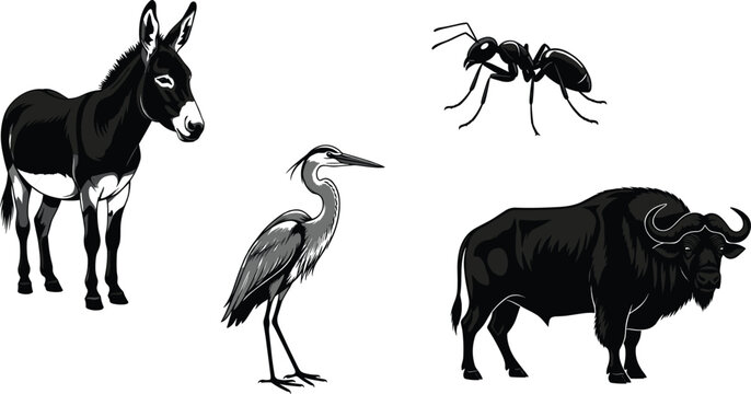 PrintAnimal silhouettes, donkey, heron, ant, buffalo, wildlife icons, black shapes, vector animals, nature symbols, isolated creatures, stock illustration