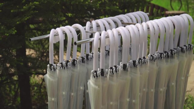 White umbrellas in a folded willow hang in the park 03