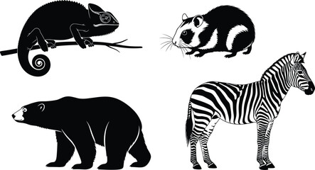 Animal silhouettes, chameleon, guinea pig, bear, zebra, wildlife icons, black shapes, vector animals, nature symbols, isolated creatures, stock illustration