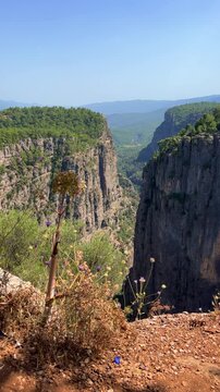 A mountain valley landscape with forests and cliffs. Huge rocks and rocky outcrops. A beautiful deep canyon with lots of tourists. A bird's-eye view of the Tasi Canyon. T&uuml;rkiye