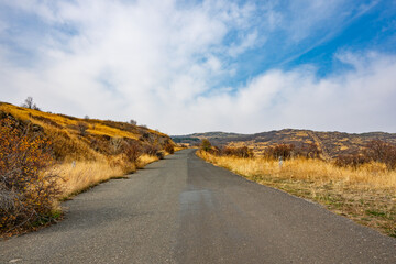A road with a few trees in the background
