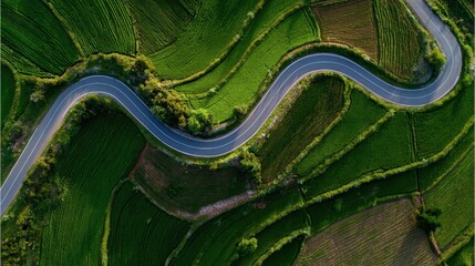 winding road through green terraced fields