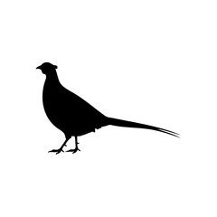 Common pheasant silhouette vector flat illustration design.