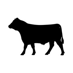 Show steer silhouette vector flat illustration design.