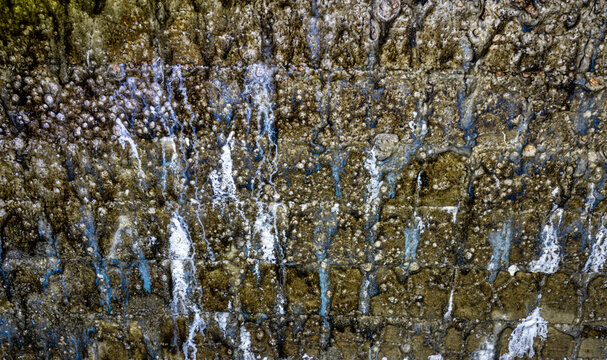 Lime-rich mineral deposits on kiln wall
