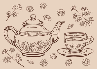 Tea set with glass teapot and cup, chamomile. Hand drawn vector illustration in outline style.