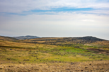 A large, empty field with a few trees in the distance
