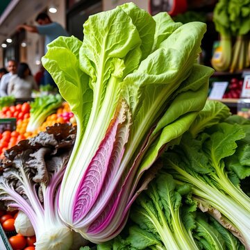 Nutrient-rich celtuce, a healthy stem lettuce, displayed for sale in a bustling marketplace,  nutritious,  agriculture
