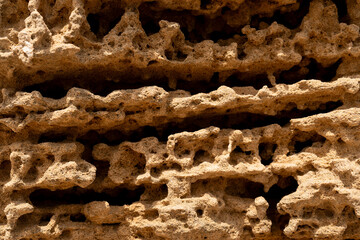 close up of sand eroding at a beach
