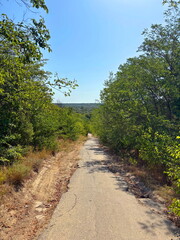 Fototapeta premium Comfortable descent along the forest belt to the Dnieper coast against the background of a sunny summer sky.