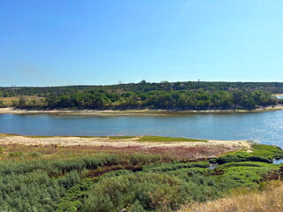 Amazing panorama of the Dnieper riverbed surrounded by dense thickets of sedge and reeds, washing the island of Baida, against the background of a sunny summer sky.