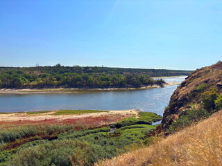 Obraz premium Amazing panorama of the Dnieper riverbed surrounded by dense thickets of sedge and reeds, washing the island of Baida, against the background of a sunny summer sky.