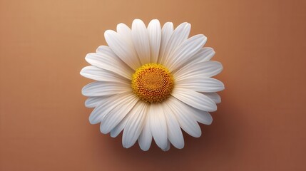 Realistic 3D Render of a Single Daisy on a Soft Background in Low Resolution