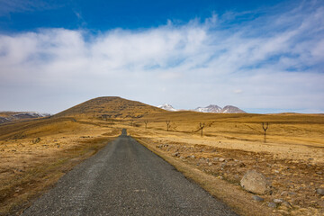 A road in the desert with a mountain in the background