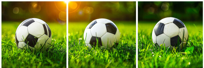 Sunlit soccer balls resting on vibrant green grass during a warm afternoon