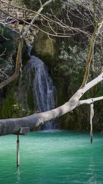 Tree branch in fron of Adonis Baths waterfall in Cyprus, static vertical shot
