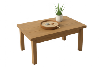 Wooden table with miniature zen garden and plant